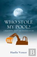 Who Stole My Pool?