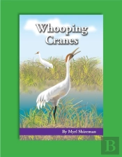 Whooping Cranes