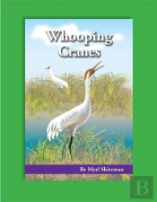 Whooping Cranes
