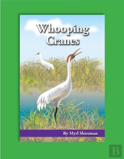 Bertrand.pt - Whooping Cranes