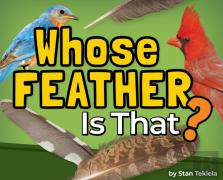 Whose Feather Is That?