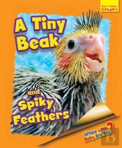 Whose Little Baby Are You? A Tiny Beak And Spiky Feathers