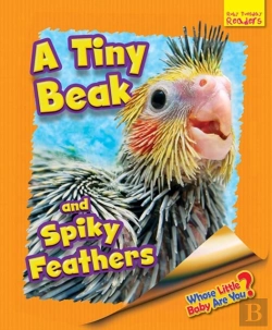Bertrand.pt - Whose Little Baby Are You? A Tiny Beak And Spiky Feathers