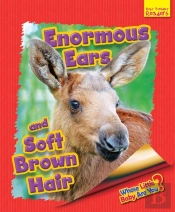 Whose Little Baby Are You? Enormous Ears And Soft Brown Hair