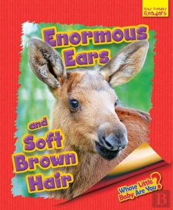 Bertrand.pt - Whose Little Baby Are You? Enormous Ears And Soft Brown Hair