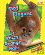 Whose Little Baby Are You? Tiny Fingers And Fuzzy Orange Hair