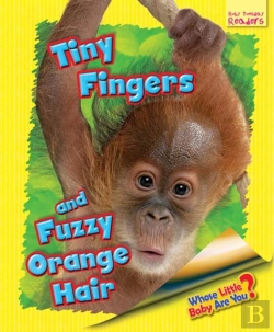 Bertrand.pt - Whose Little Baby Are You? Tiny Fingers And Fuzzy Orange Hair