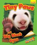 Whose Little Baby Are You? Tiny Paws And Big Black Eyes