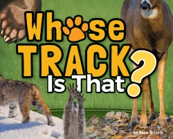 Bertrand.pt - Whose Track Is That?