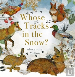Bertrand.pt - Whose Tracks In The Snow?