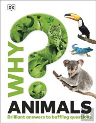Why? Animals
