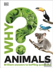 Why? Animals