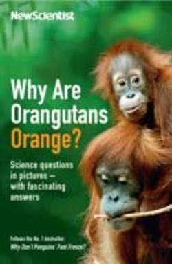 Bertrand.pt - Why Are Orangutans Orange?