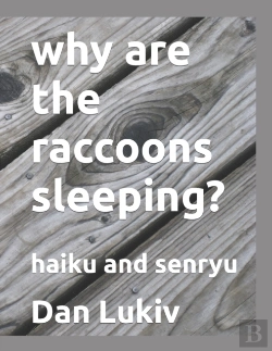 Bertrand.pt - Why Are The Raccoons Sleeping?