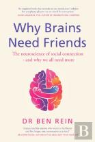 Why Brains Need Friends
