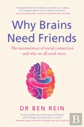 Why Brains Need Friends
