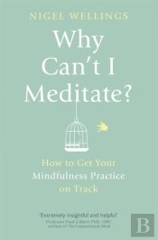 Why Can'T I Meditate?