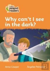 Why Can'T I See In The Dark?