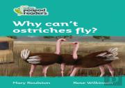 Why Can'T Ostriches Fly?