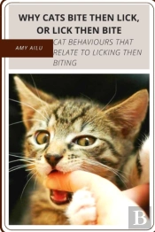 Why Cats Bite ThãÂµN Lick, Or Lick ThãÂµN Bite