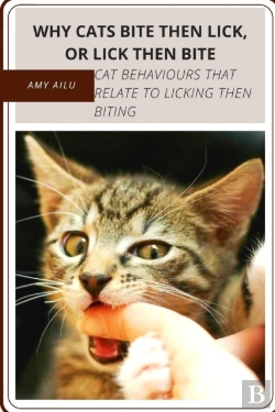 Bertrand.pt - Why Cats Bite ThãÂµN Lick, Or Lick ThãÂµN Bite