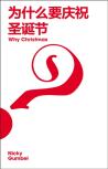 Why Christmas? Chinese Simplified