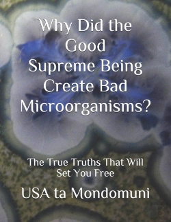 Bertrand.pt - Why Did The Good Supreme Being Create Bad Microorganism?