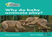 Why Do Baby Animals Play?