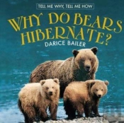 Why Do Bears Hibernate?
