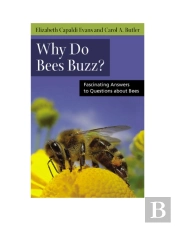 Why Do Bees Buzz?