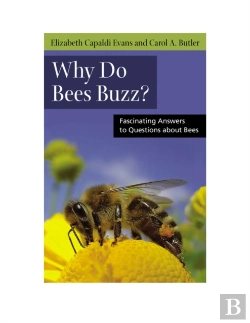 Bertrand.pt - Why Do Bees Buzz?