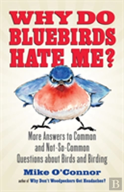 Bertrand.pt - Why Do Bluebirds Hate Me?