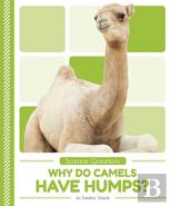 Why Do Camels Have Humps?