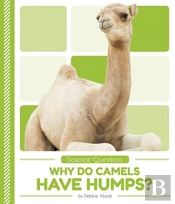 Why Do Camels Have Humps?