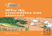 Why Do Crocodiles Eat Stones?