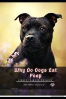Why Do Dogs Eat Poop