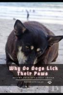 Why Do Dogs Lick Their Paws
