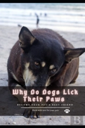 Why Do Dogs Lick Their Paws