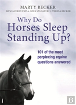 Bertrand.pt - Why Do Horses Sleep Standing Up?