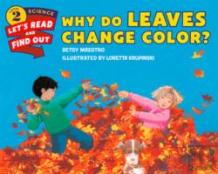Why Do Leaves Change Color?