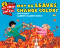 Bertrand.pt - Why Do Leaves Change Color?