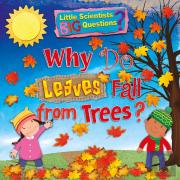 Why Do Leaves Fall From Trees?