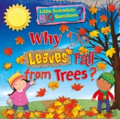 Why Do Leaves Fall From Trees?