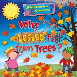 Bertrand.pt - Why Do Leaves Fall From Trees?
