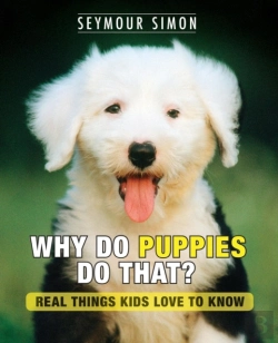 Bertrand.pt - Why Do Puppies Do That?