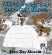 Why Do Puppy Dogs Have Cold Noses?