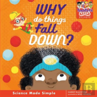 Why Do Things Fall Down?