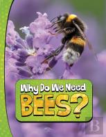 Why Do We Need Bees?