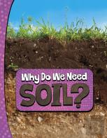 Why Do We Need Soil?
