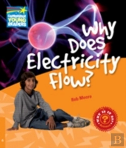 Bertrand.pt - Why Does Electricity Flow Level 6 Factbo